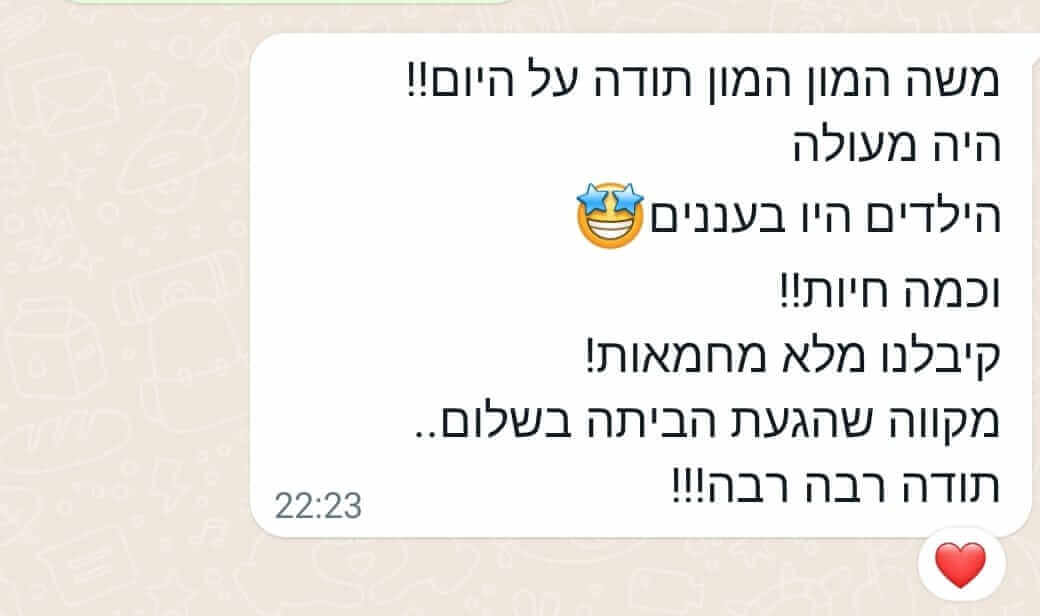 המלצה 2